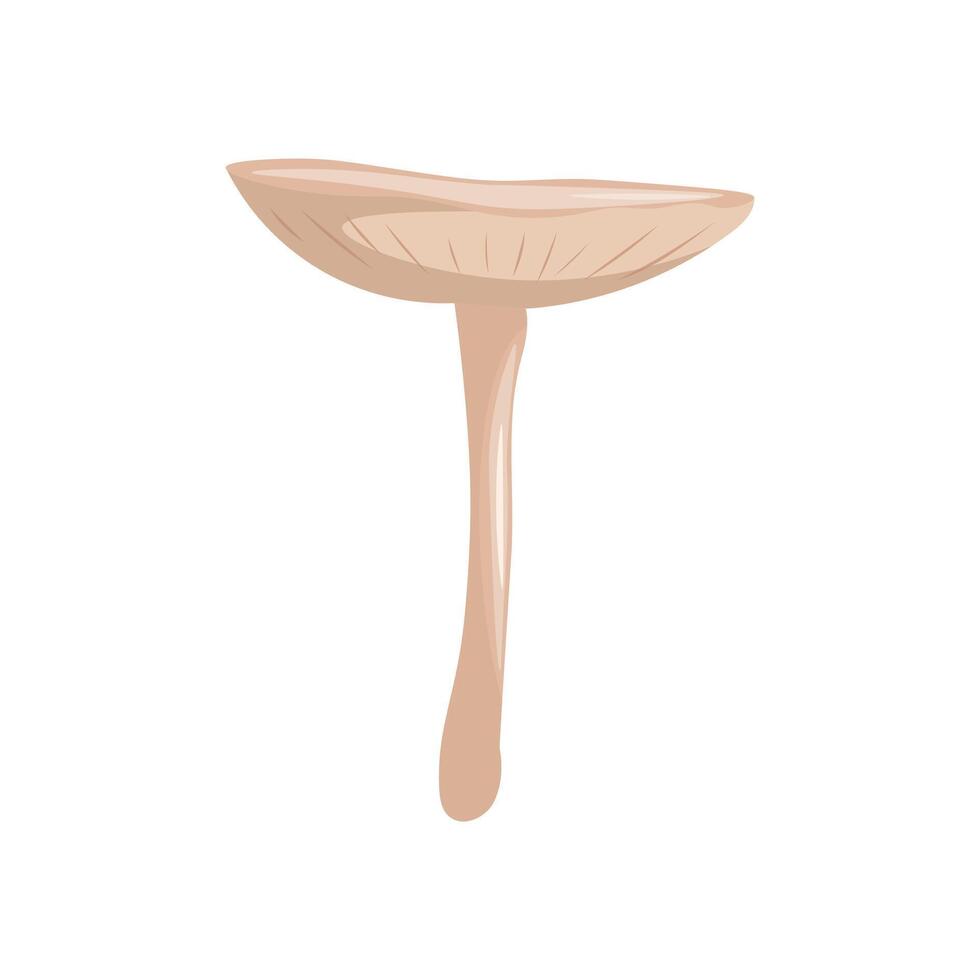 Mushroom on a white background illustration. vector