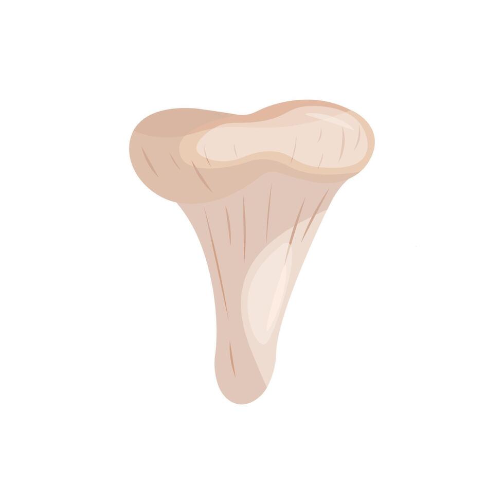 Chanterelle on a white background illustration. vector