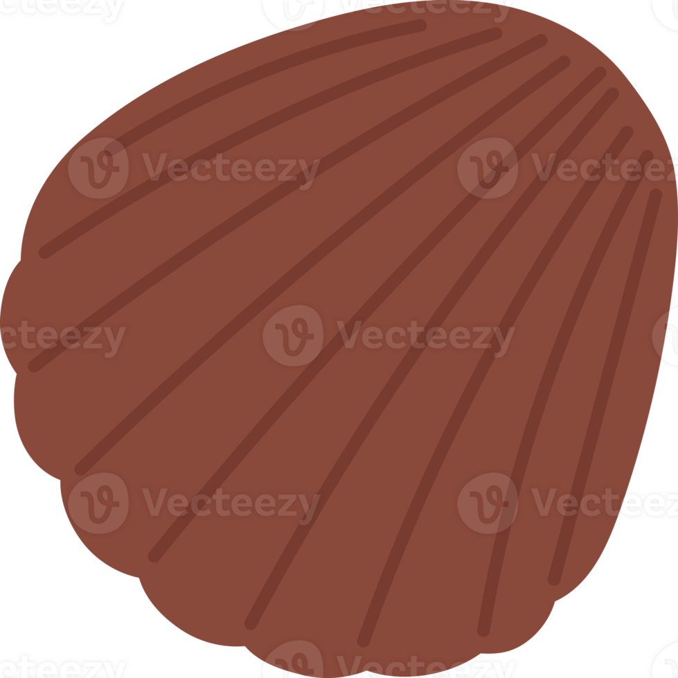 a chocolate brown shell shape png
