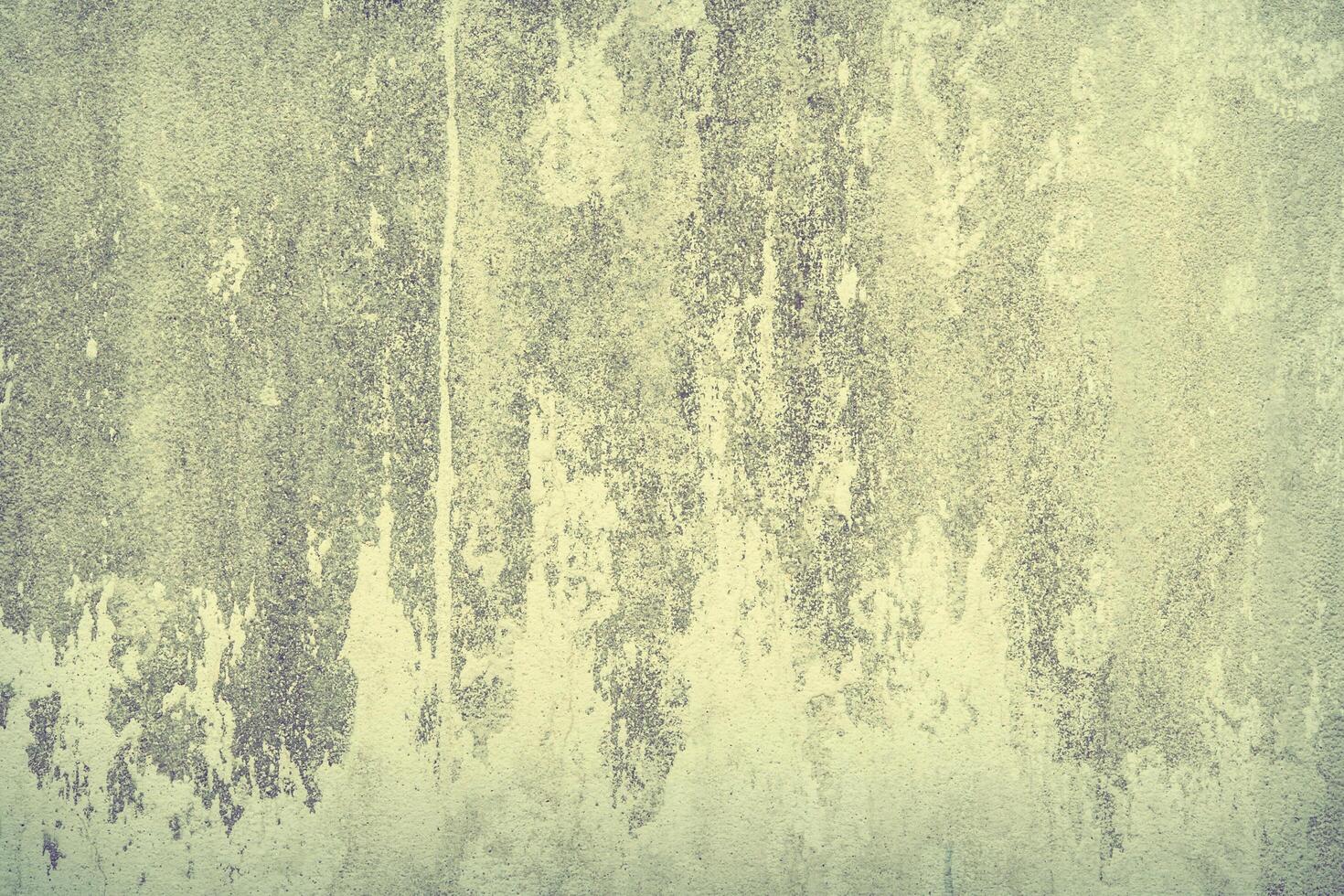 Electric Hues Flashes of Color on Smooth Walls photo