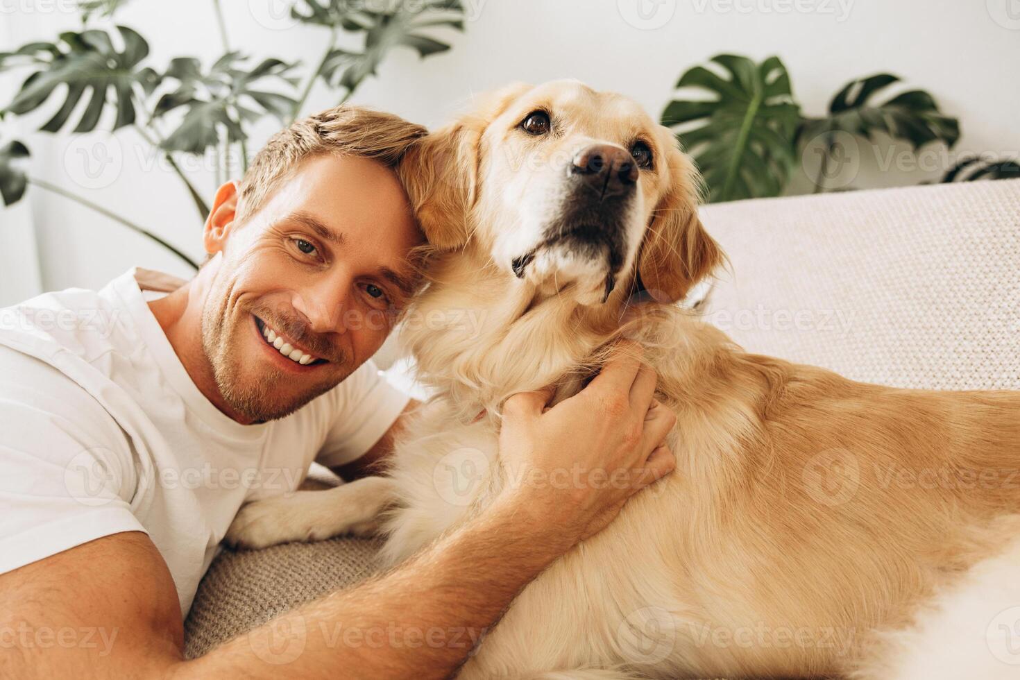 Handsome, bearded, middle aged man petting dog, golden retriever, sitting on comfortable sofa photo