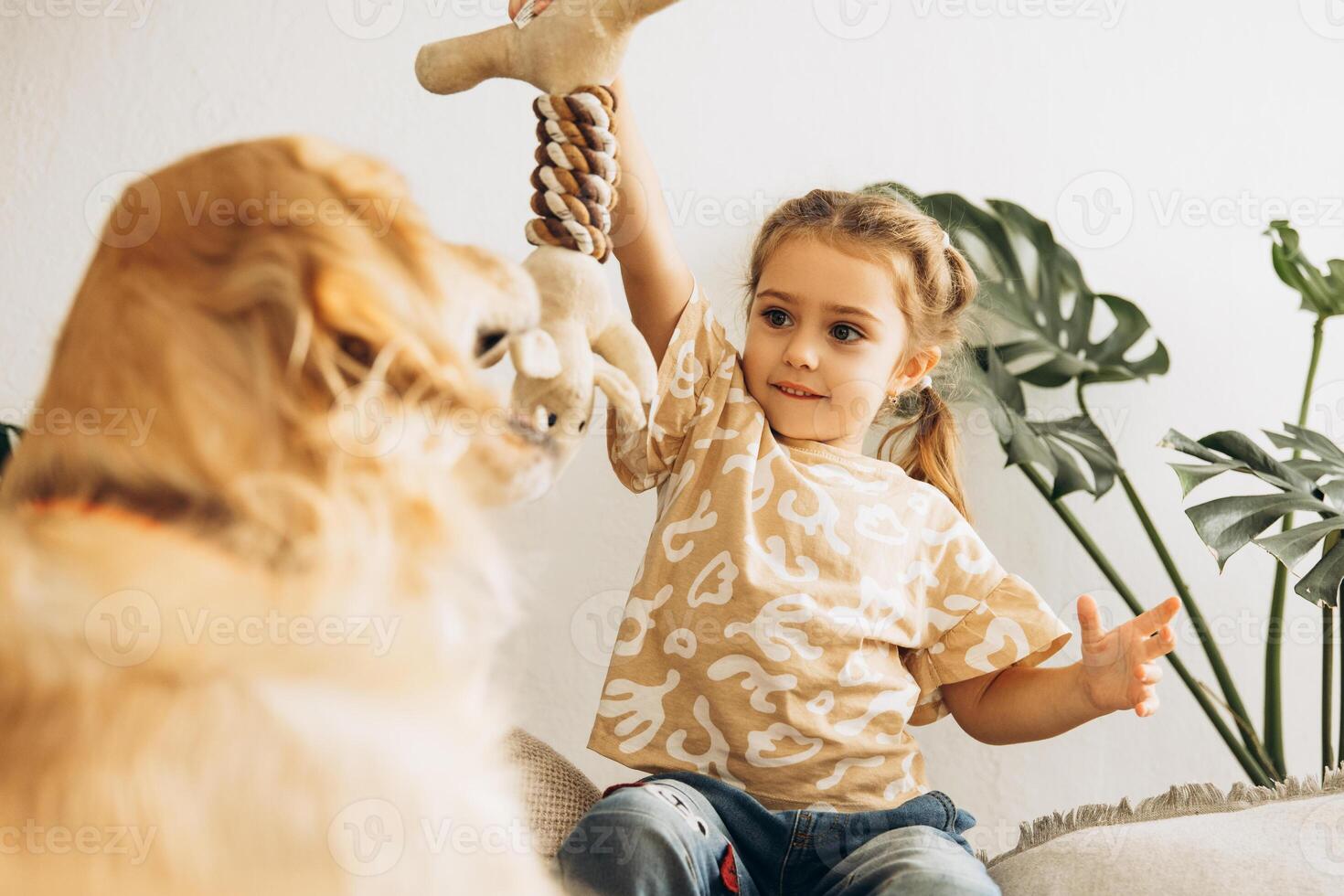 Cute beautiful little girl playing training dog golden retriever. Animal, executing commands concept photo