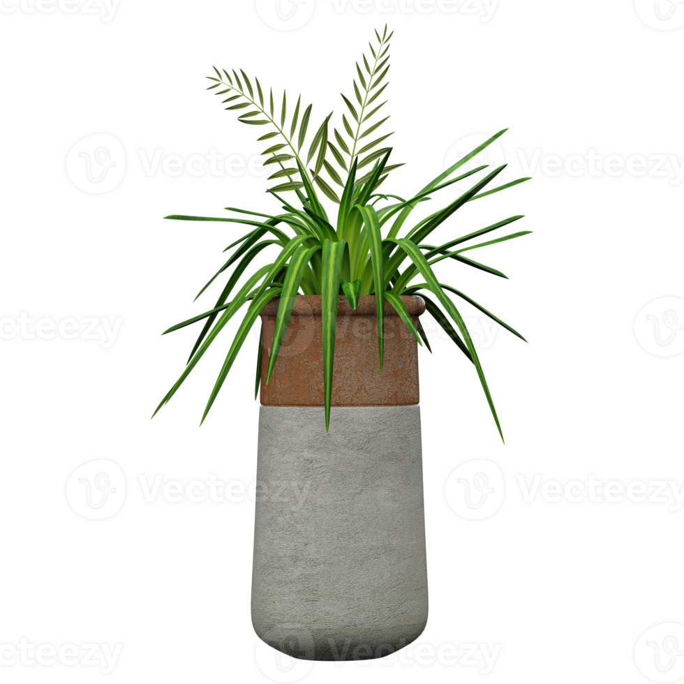 3d illustration of Chlorophytum comosum plant in pot isolated on transparent canvas png