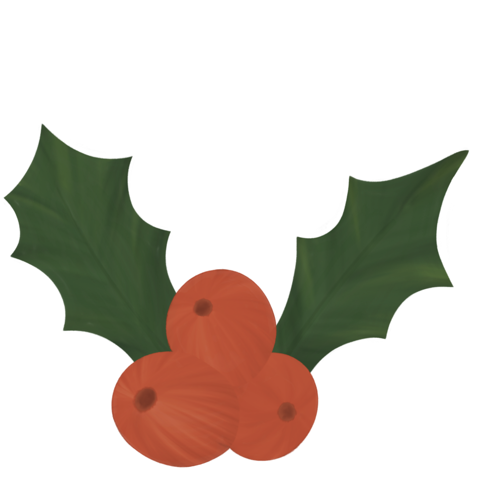 Christmas Winter Decoration png