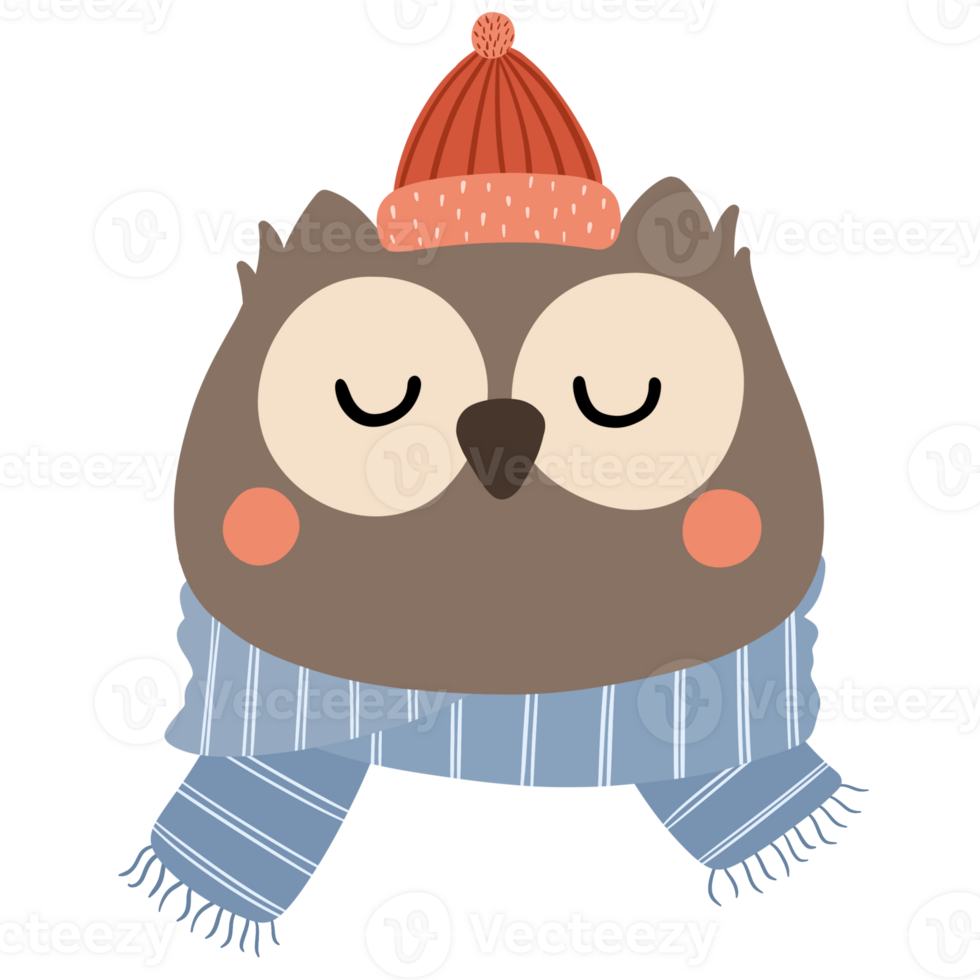 Cute Winter Owl Wearing Winter Attire png