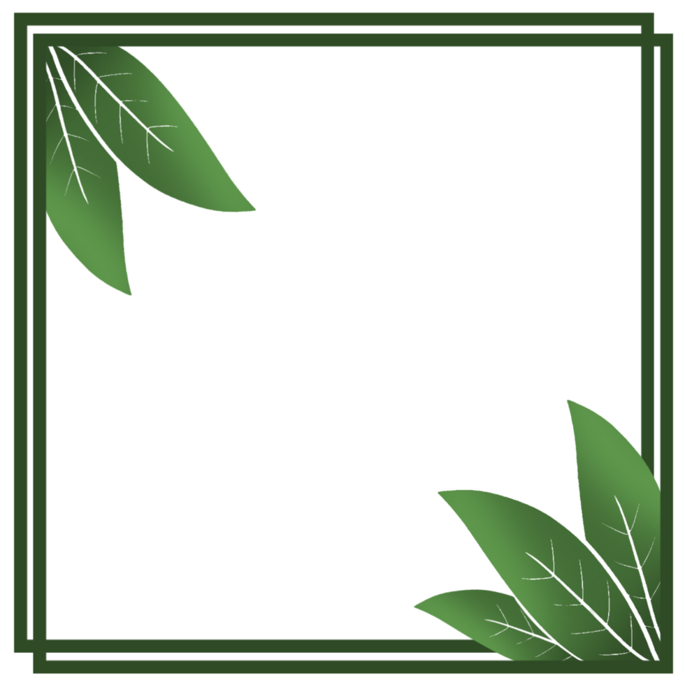 Green square frame with green leaves png