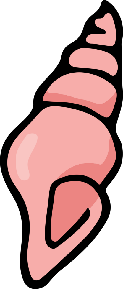 Pastel Peach Conch Shell Illustration Symbol png