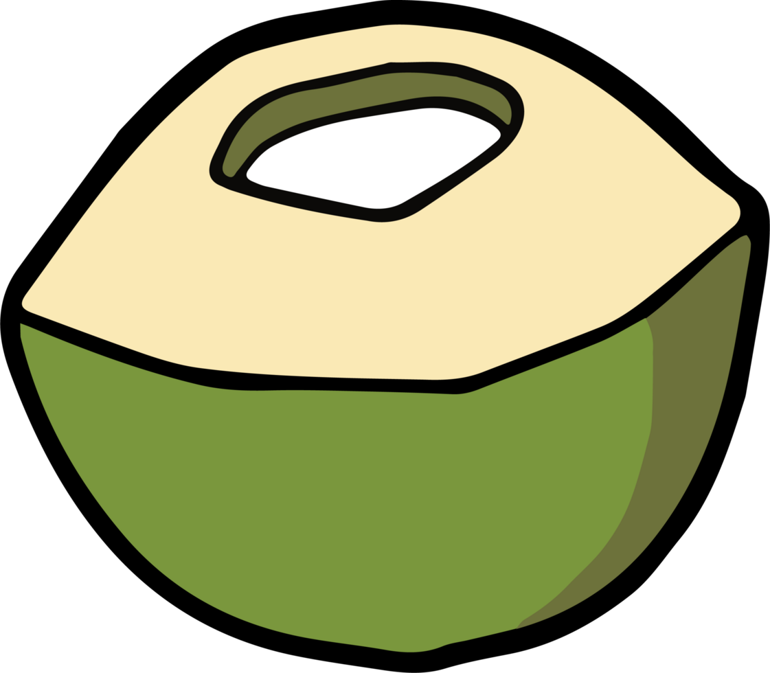 Green Coconut Slice with Minimalist Hand-Drawn Design png