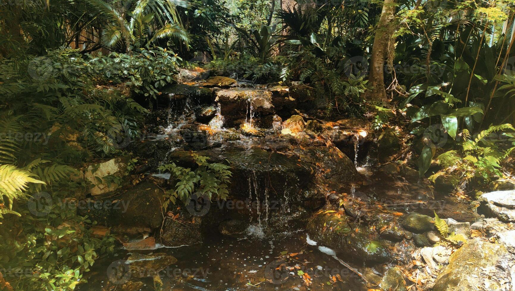 A waterfall in the jungle photo