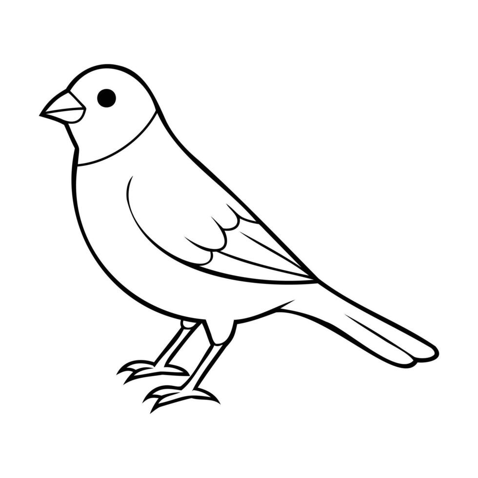 Simple black and white line art of a canary bird, featuring clean, bold outlines vector