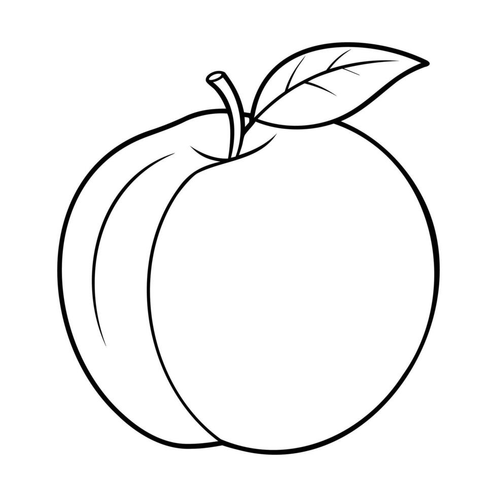 Black and white outline drawing of an apricot with a leaf vector