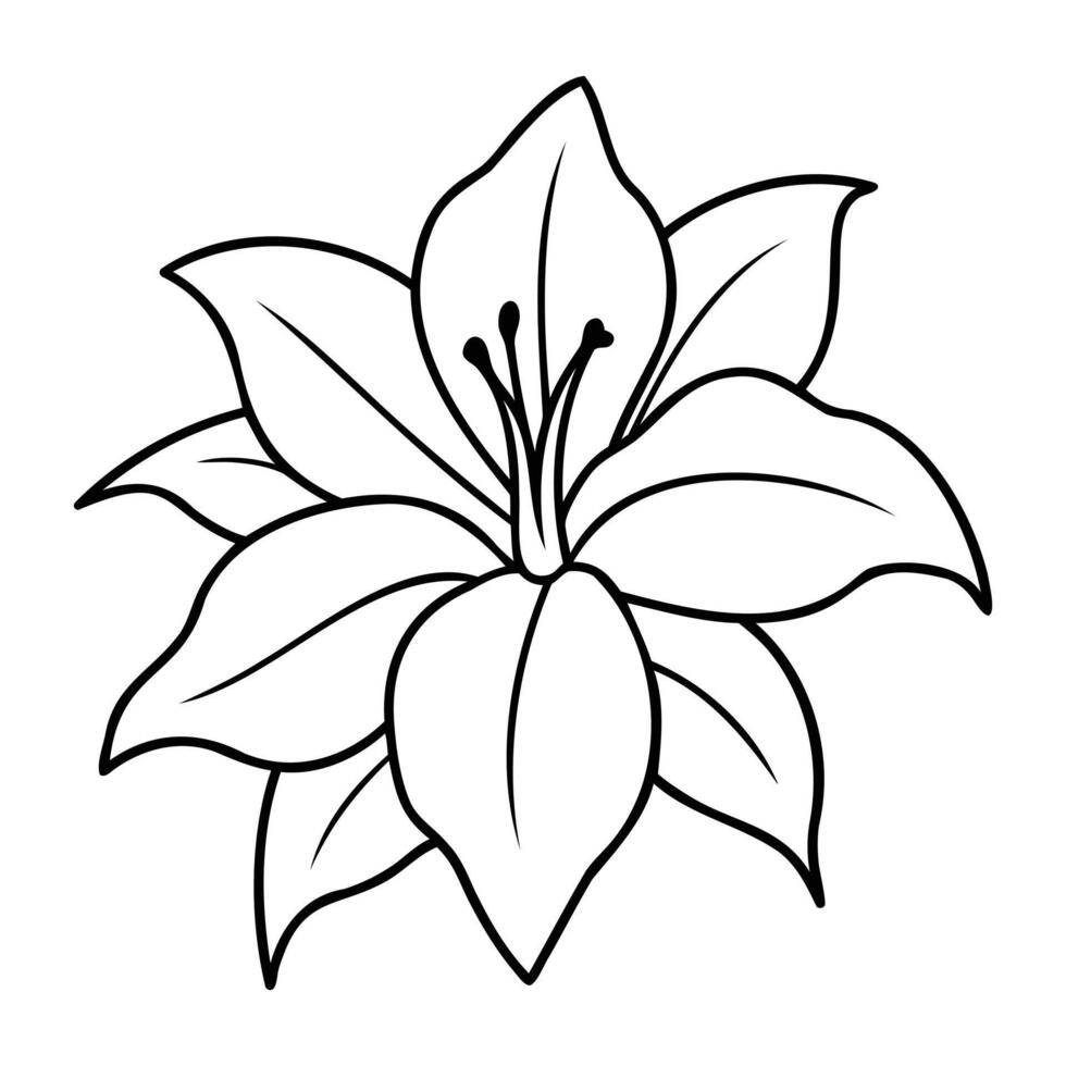 Black and white line art of a Amaryllis flower, featuring bold outlines and intricate petal details. vector