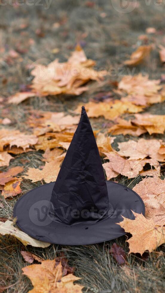 A black witch hat is sitting on the ground surrounded by fallen leaves photo