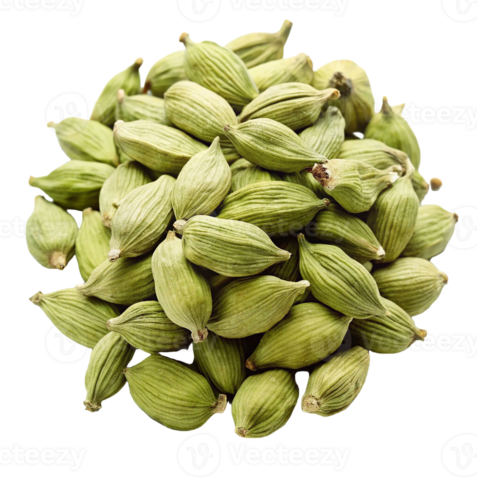 Cardamom isolated on transparent background. Close-up image of cardamom png