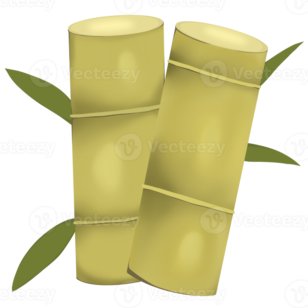 Sugar cane tree png