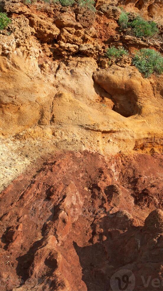 A man is standing on a cliff with a red rock photo