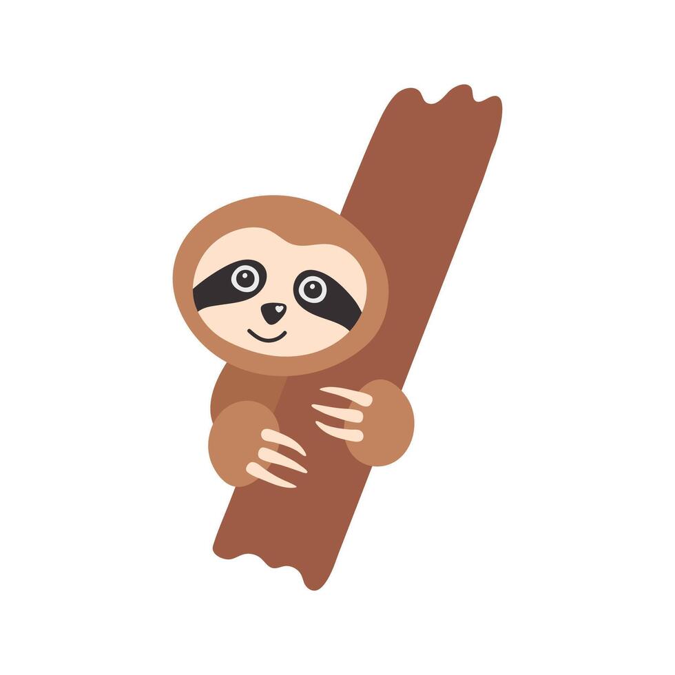 Adorable hand drawn sloth hugs tree branch. Hand drawn funny tropical bear cartoon vector