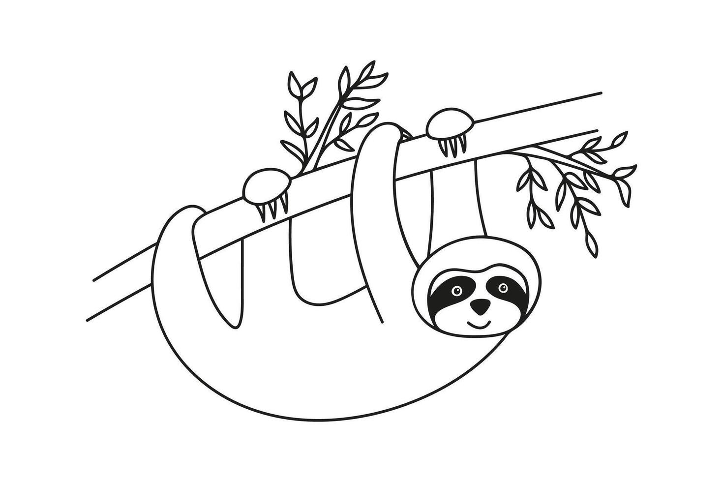 Adorable hand drawn sloth hanging on tree with leaves. Hand drawn funny tropical bear doodle line vector