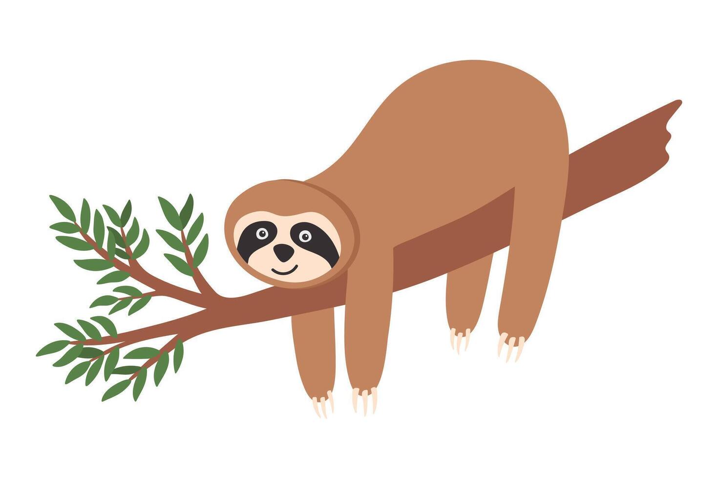 Adorable hand drawn sloth hanging on tree with leaves. Hand drawn funny tropical bear vector