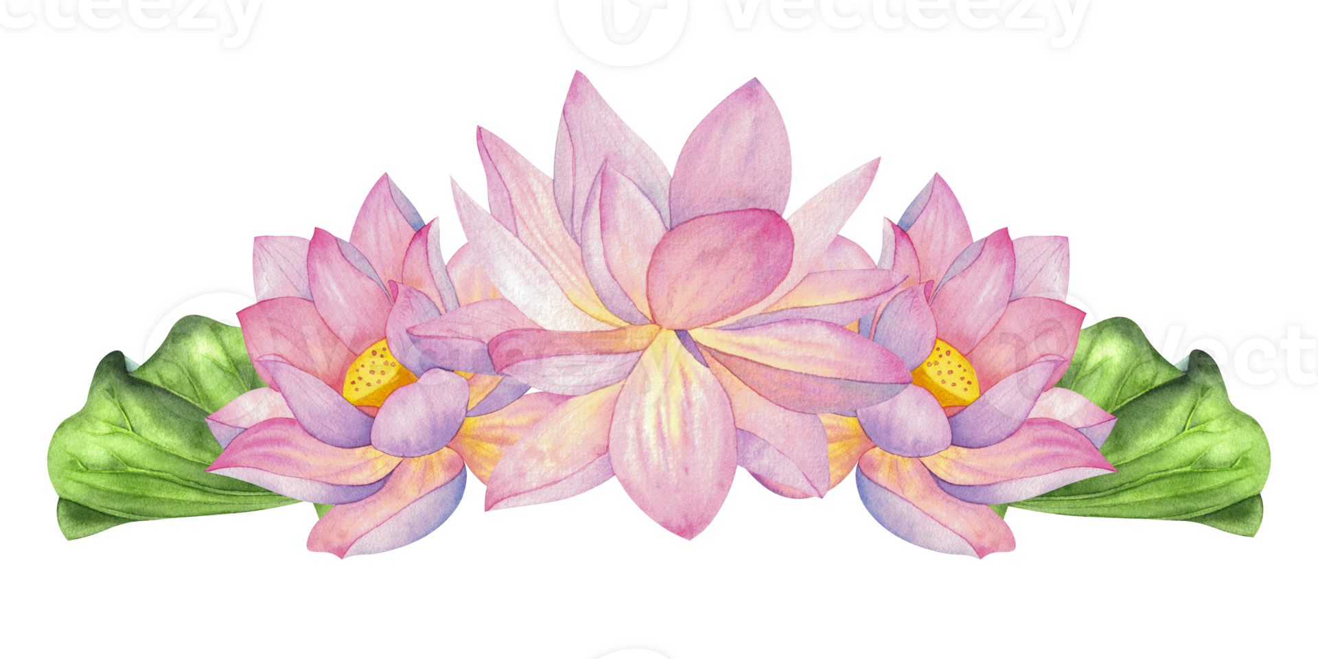 Pink lotuses, buds, flowers and leaves. Composition, Isolated on background. Watercolor illustration. Blank For design, decor and printing, typography and textiles png