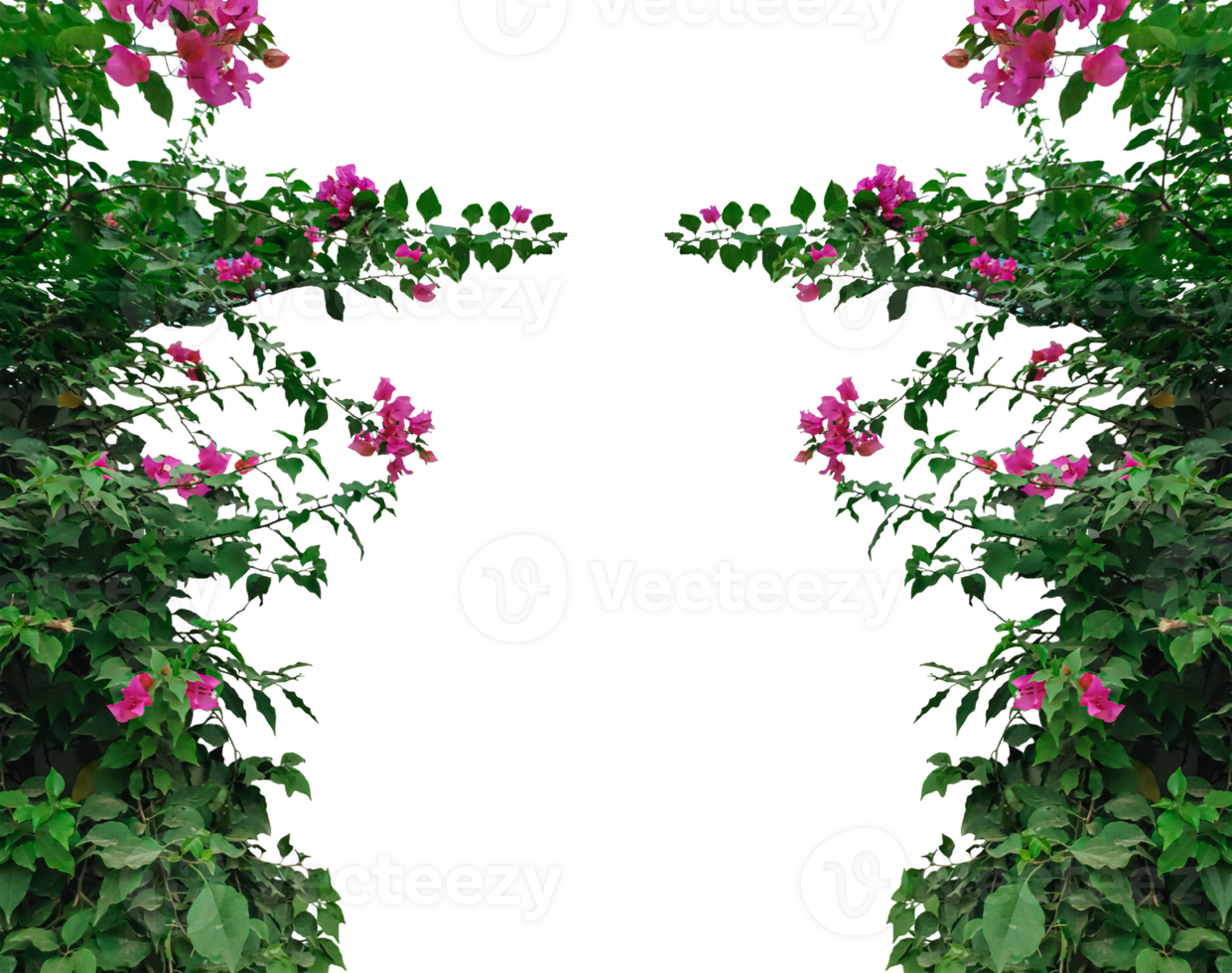 a frame with green leaves and pink flowers, two trees with green leaves and flowers on them, green grass border, green grass border, the green trees are drawn with a green border png