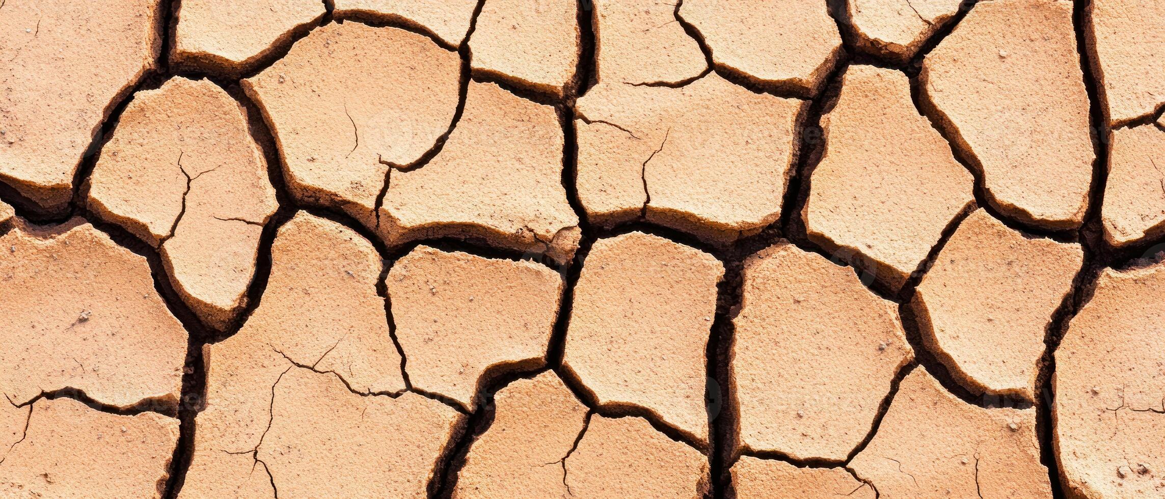 Close-up of cracked dry earth, a symbol of drought and environmental change. photo