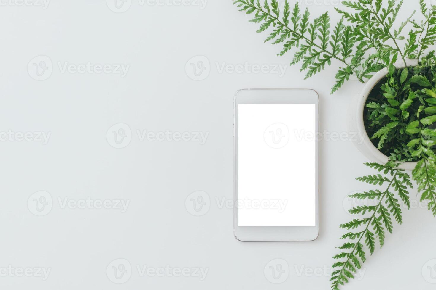 A minimalistic workspace featuring a smartphone and a potted fern plant. photo