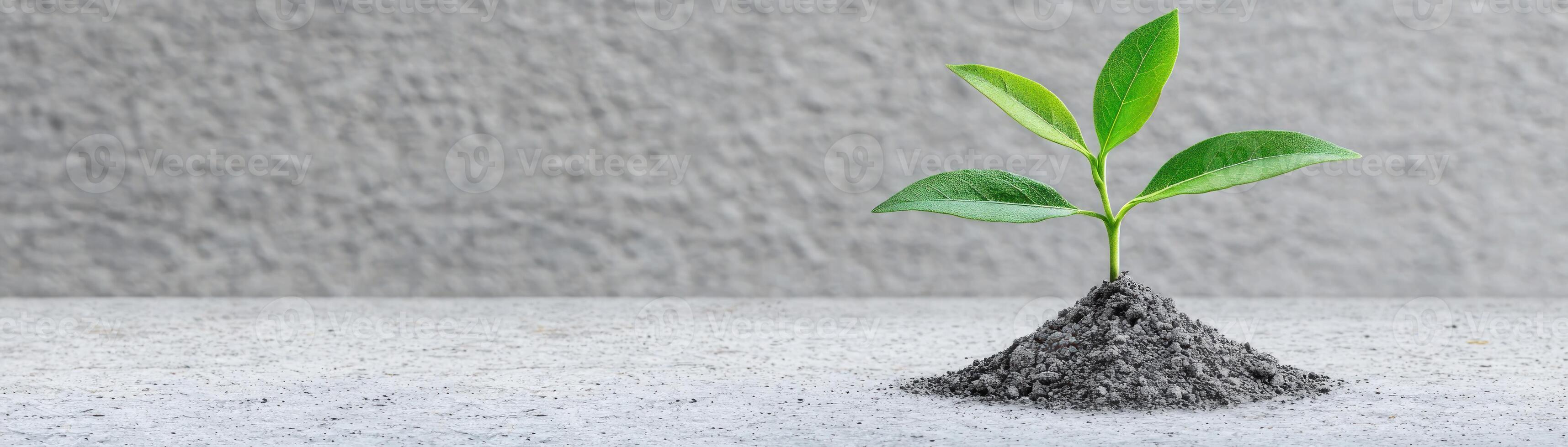 A young plant emerging from soil on a textured surface, symbolizing growth and renewal. photo