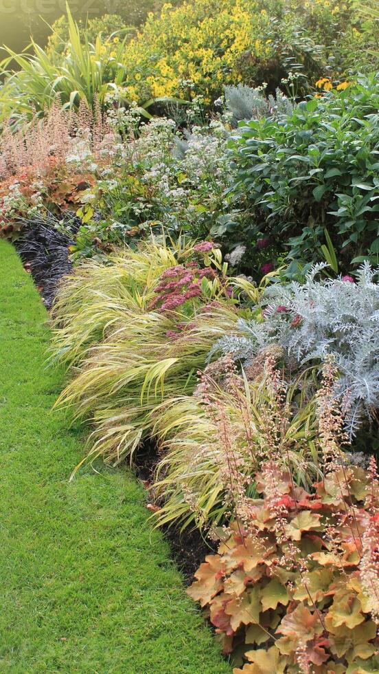 A garden with many different plants photo