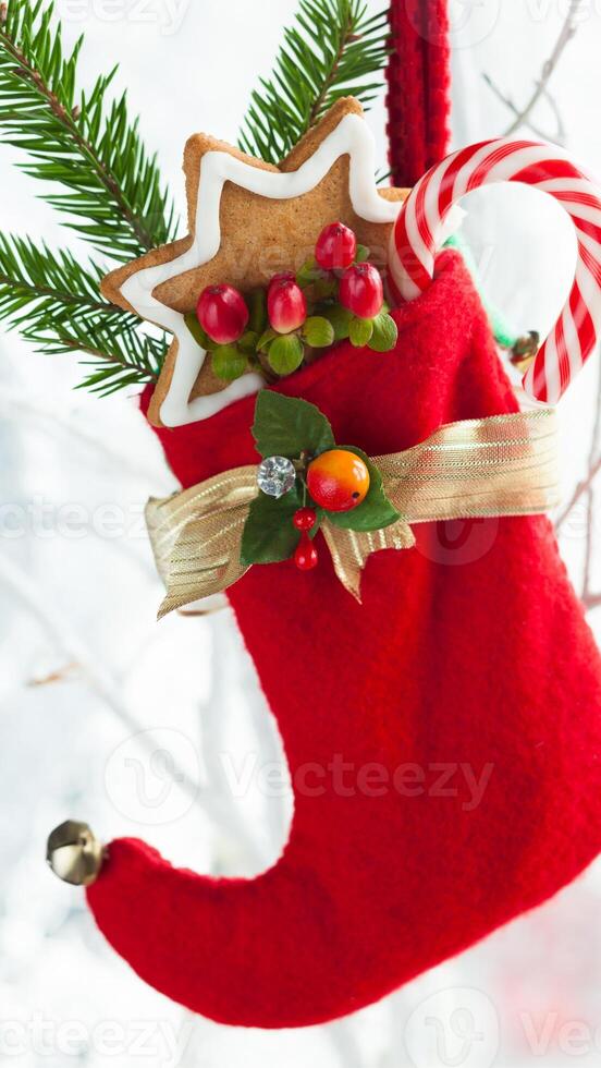 socks for gift red photo