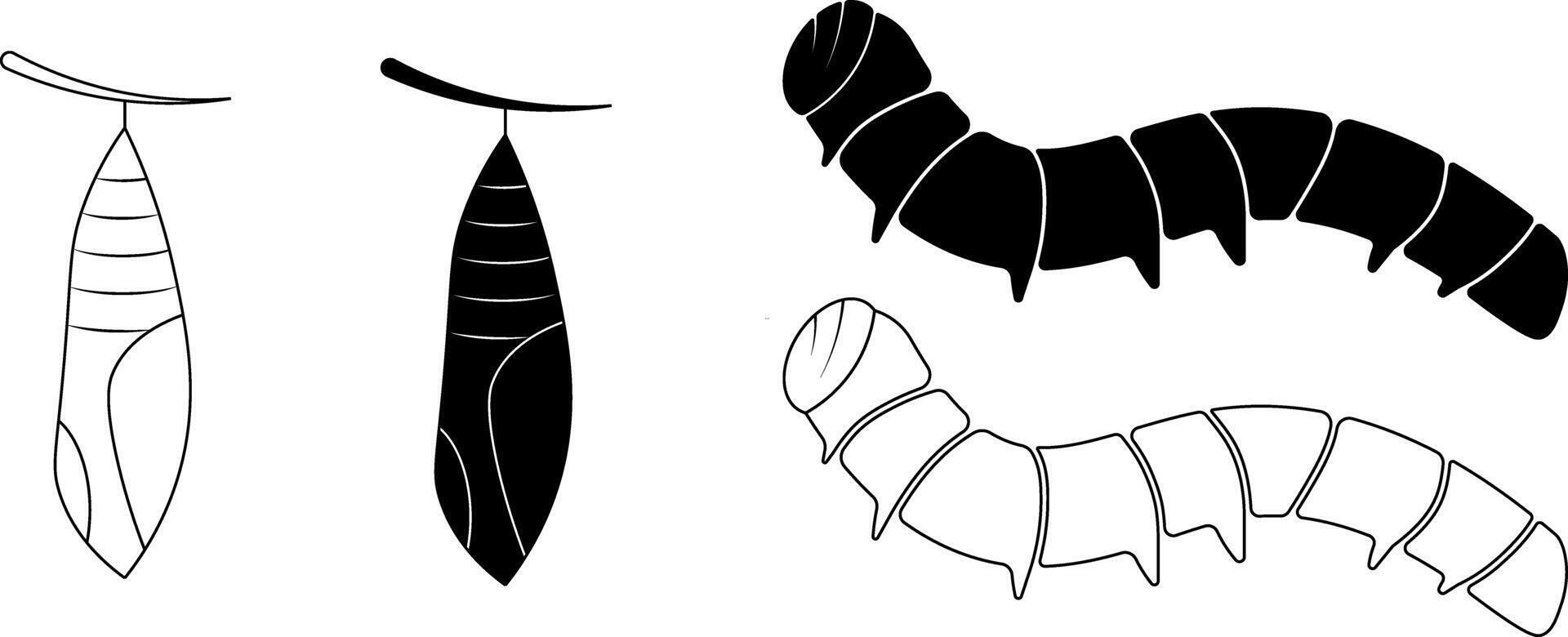 caterpillar and cocoon icon set vector