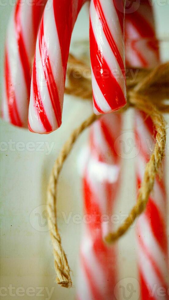 candy zoom with macro lens photo