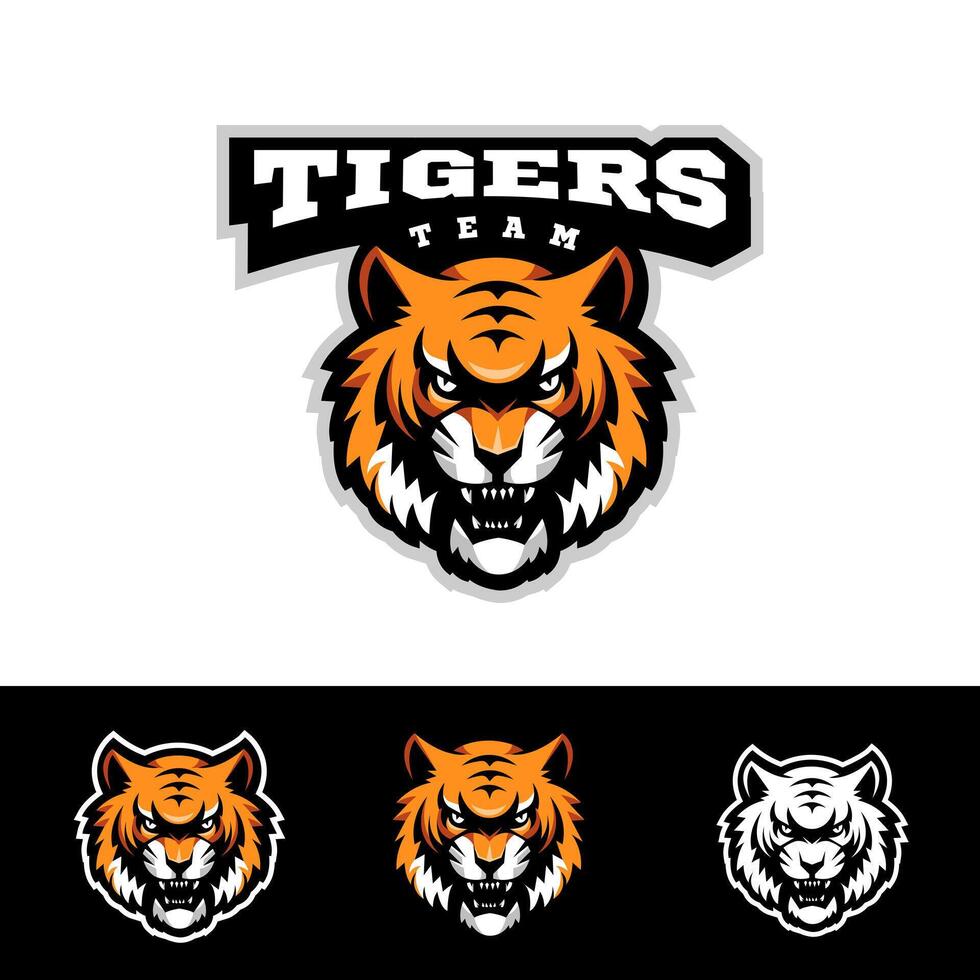 Tiger Sport Logo for Team vector