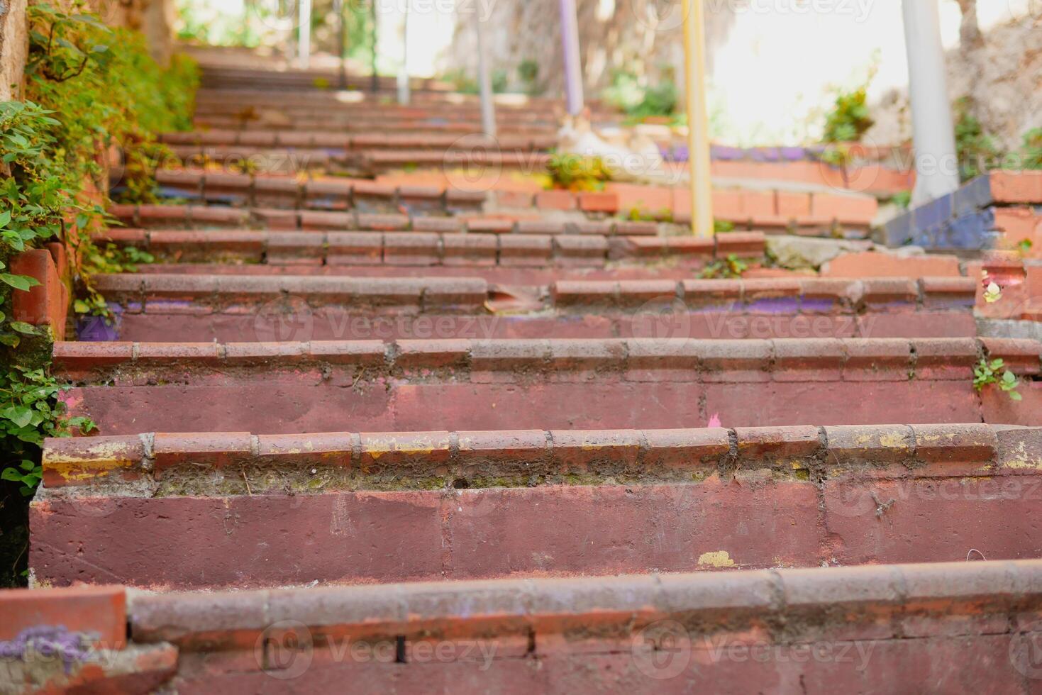 Charming, Worn Brick Stairs Beautifully Surrounded by Lush Greenery in a Scenic Landscape photo