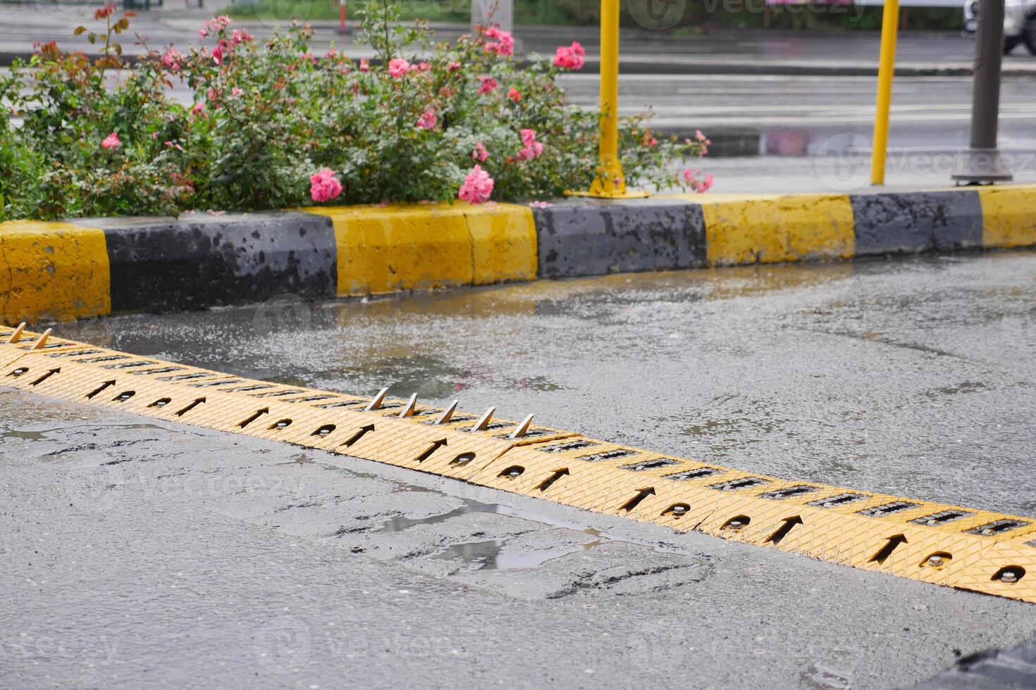A wet pavement with speed bumps and a flower bed, beautifully integrates into the urban setting photo