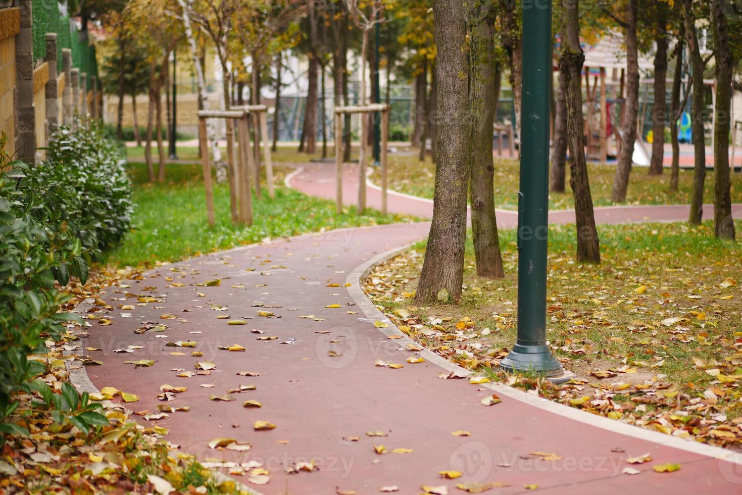 A beautiful scenic park pathway adorned with colorful autumn leaves and towering trees photo