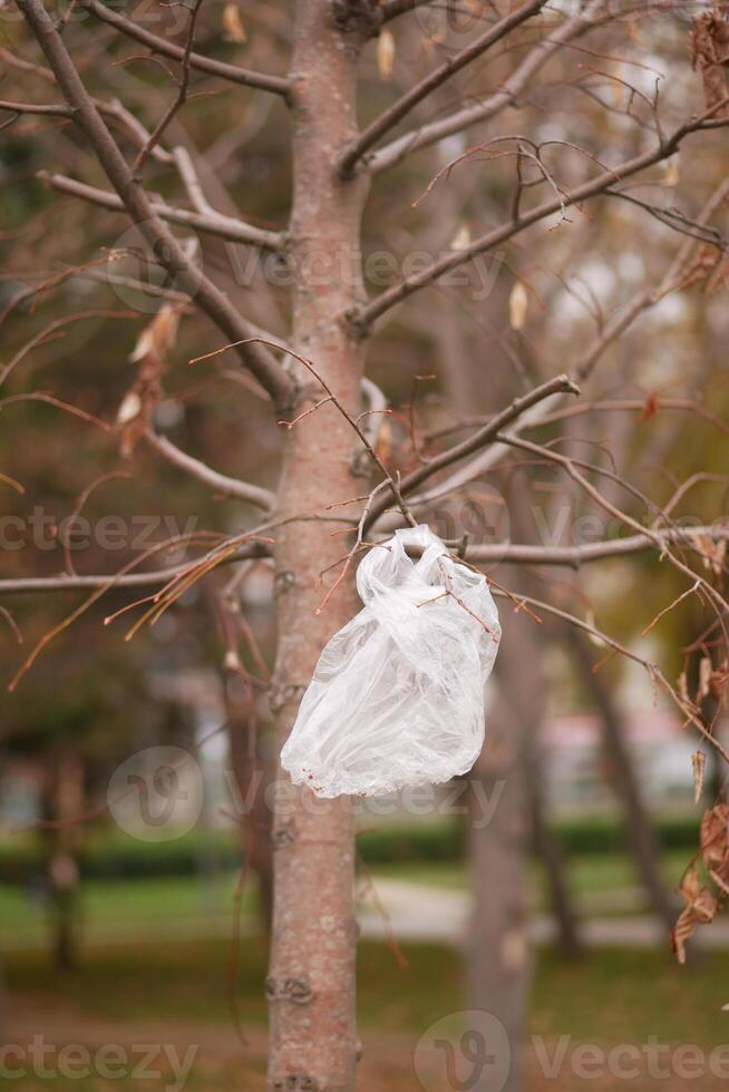Plastic Bag Caught on Tree Branch in a Public Park, environmental pollution photo