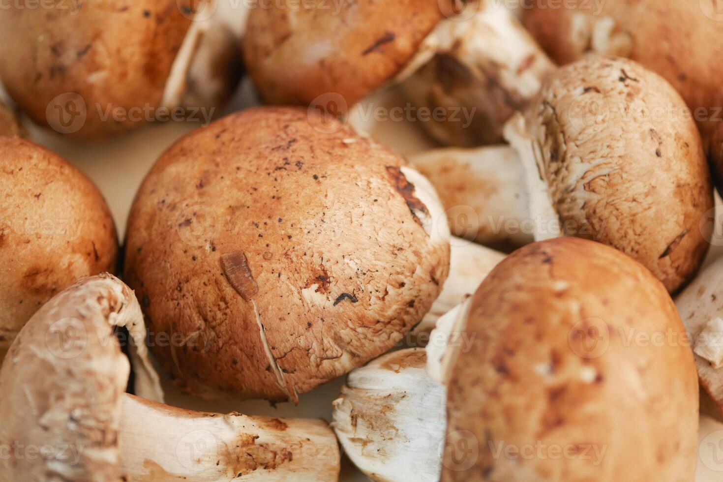 Fresh Brown Mushrooms beautifully showcased on a soft Beige Background for aesthetic appeal photo