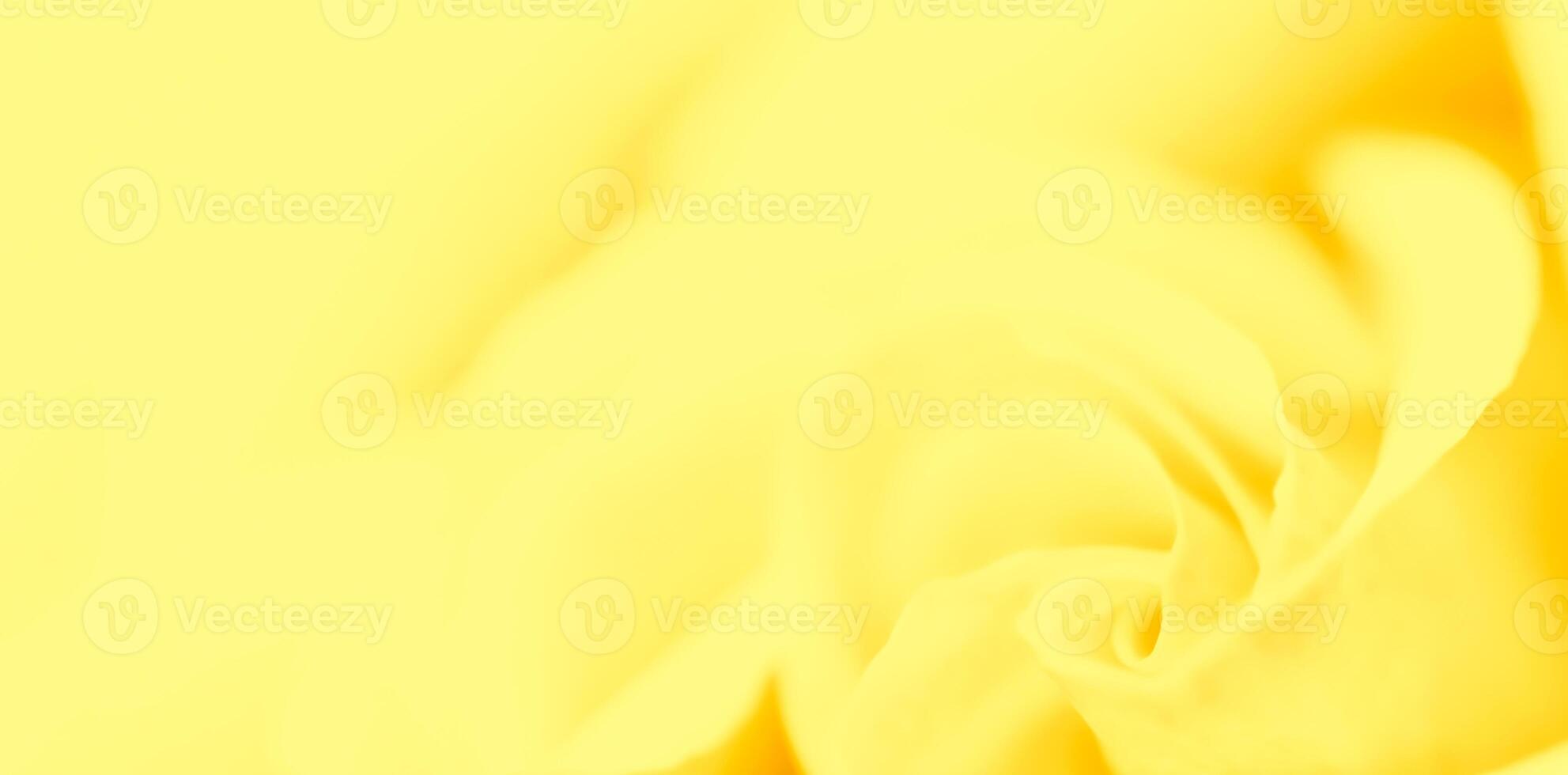 Soft focus, abstract floral background, yellow rose flower. Macro flowers backdrop for holiday brand design photo