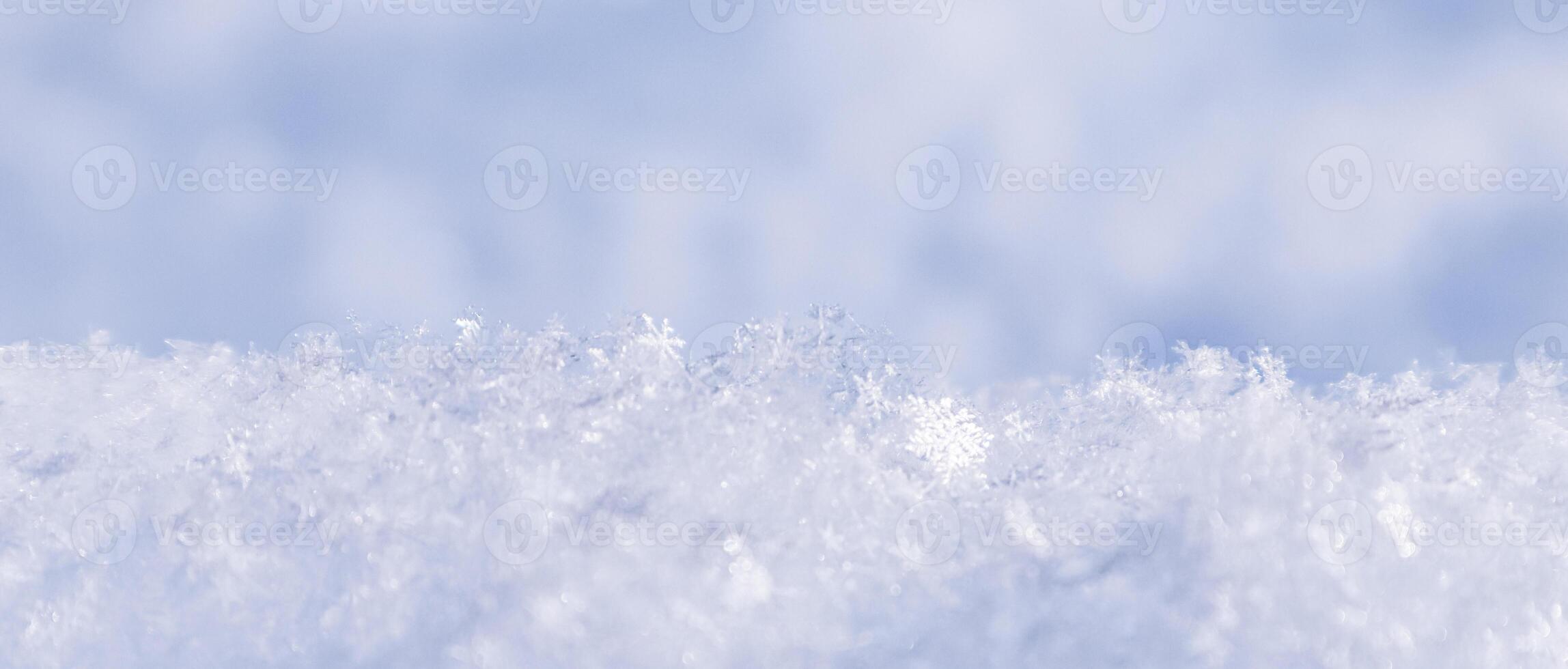 Background of fresh snow. Natural winter background. Snow texture in blue tone photo