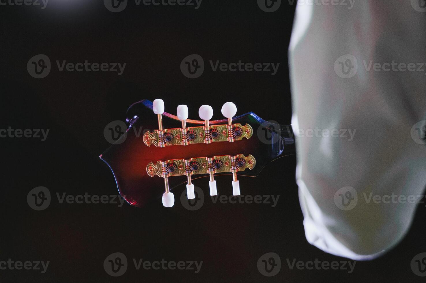 Mandolin neck headstock photo