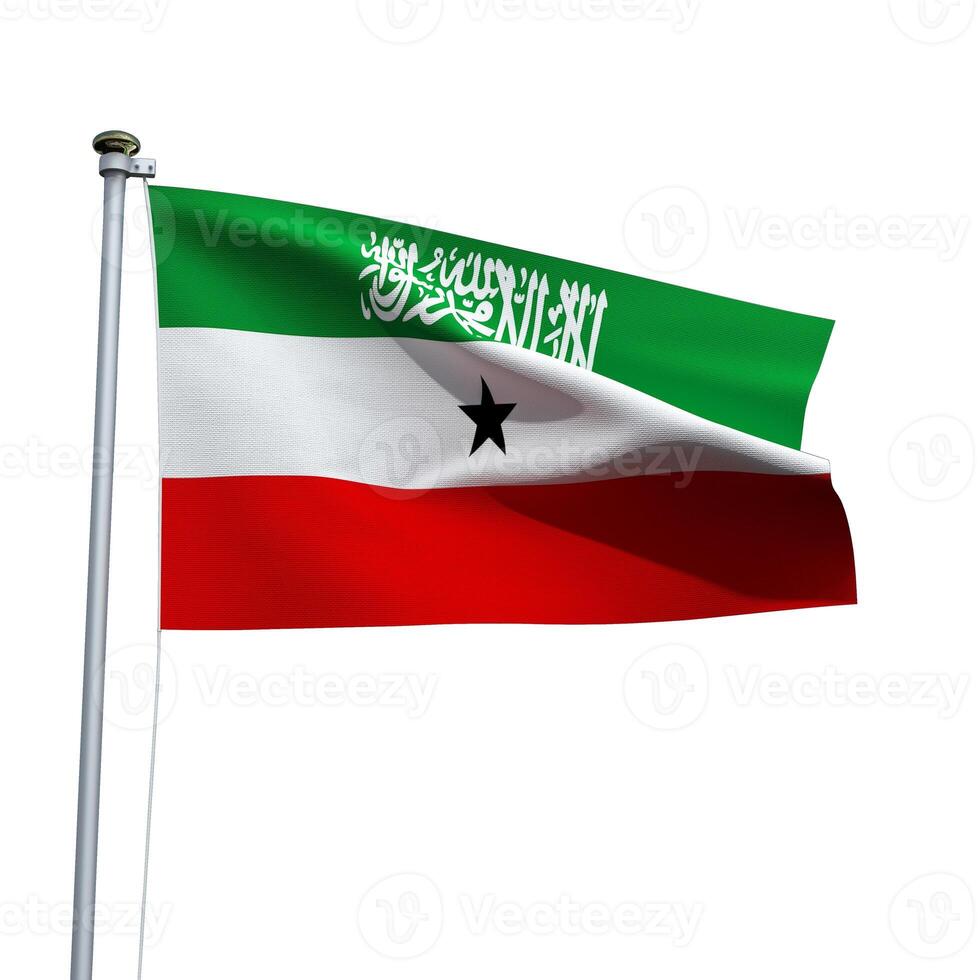 Somaliland flag on a pole waving isolated on white background photo