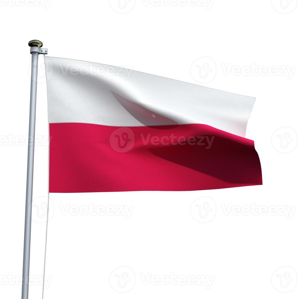 Poland flag on a pole waving isolated on white background photo