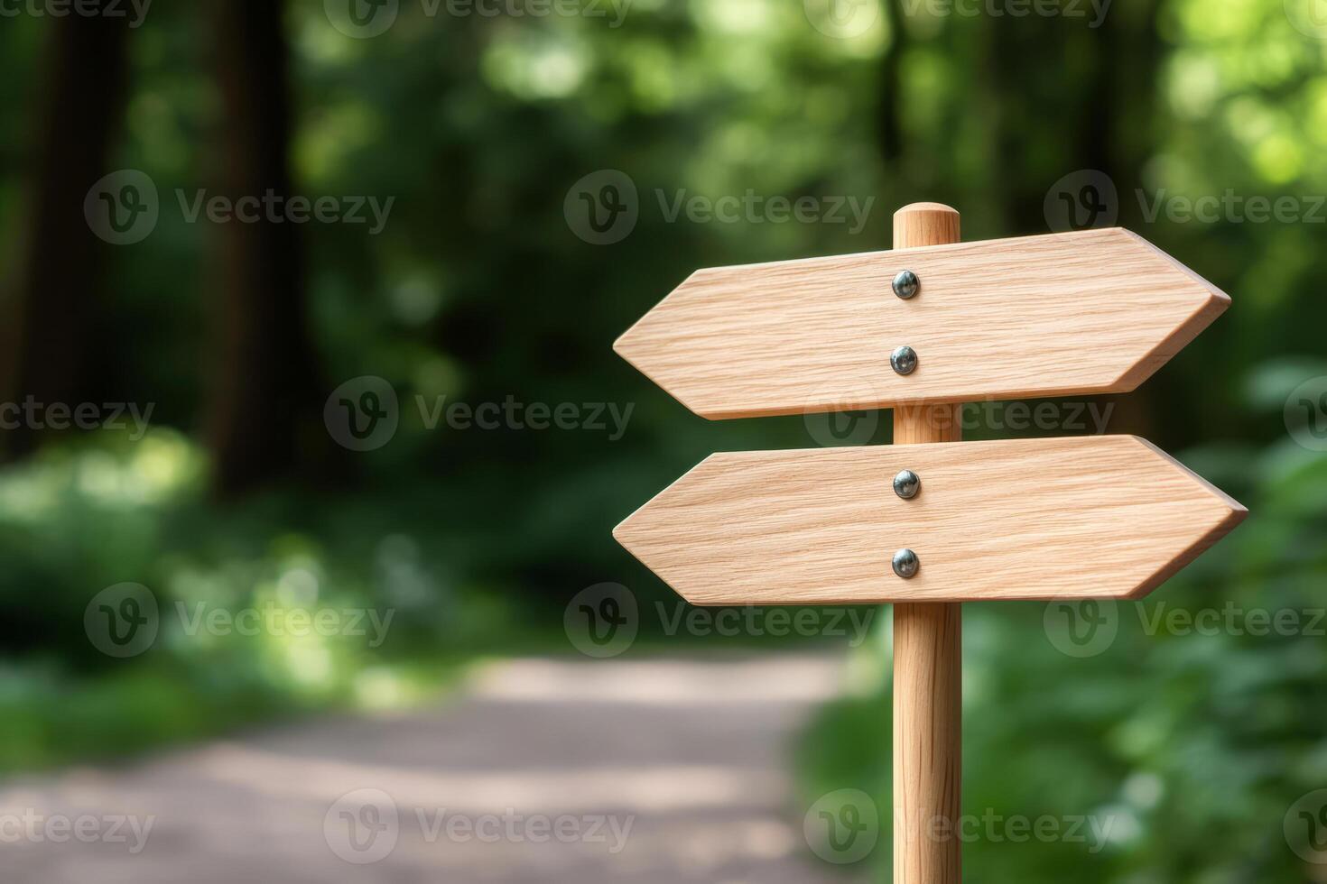 Simple wooden signpost with arrows set against a lush green forest background photo
