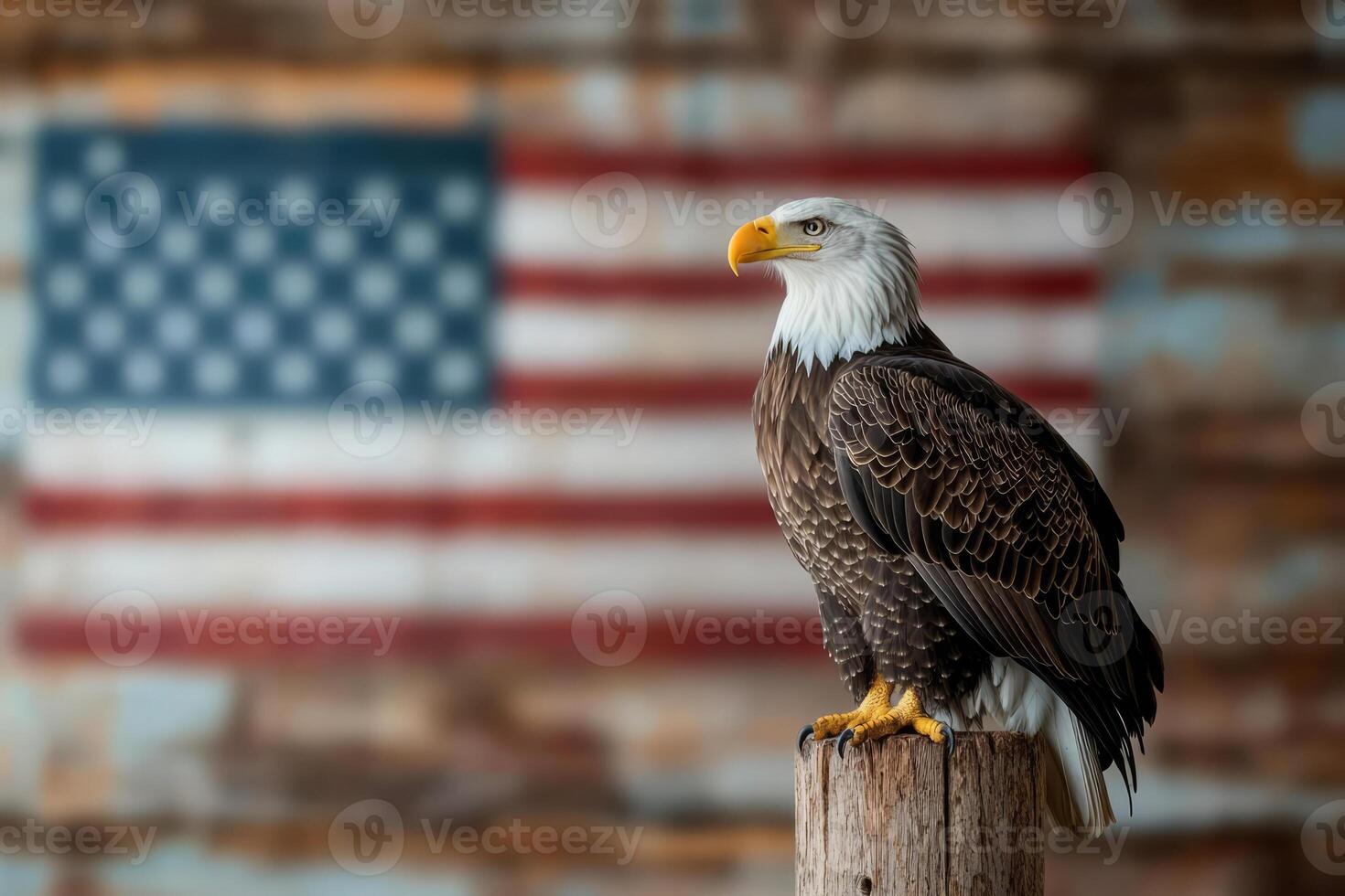 Bald eagle with a blurred American flag in the background photo