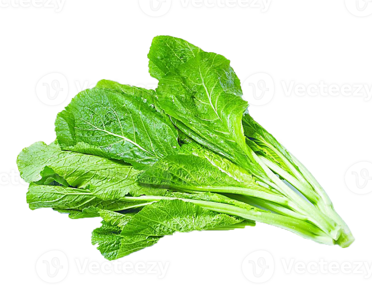 Mustard greens Leafy green Vegetable Organic png