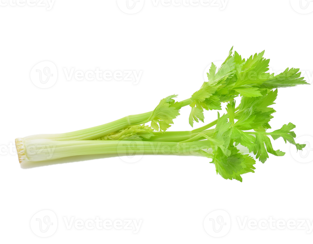 ingredient celery food juice png