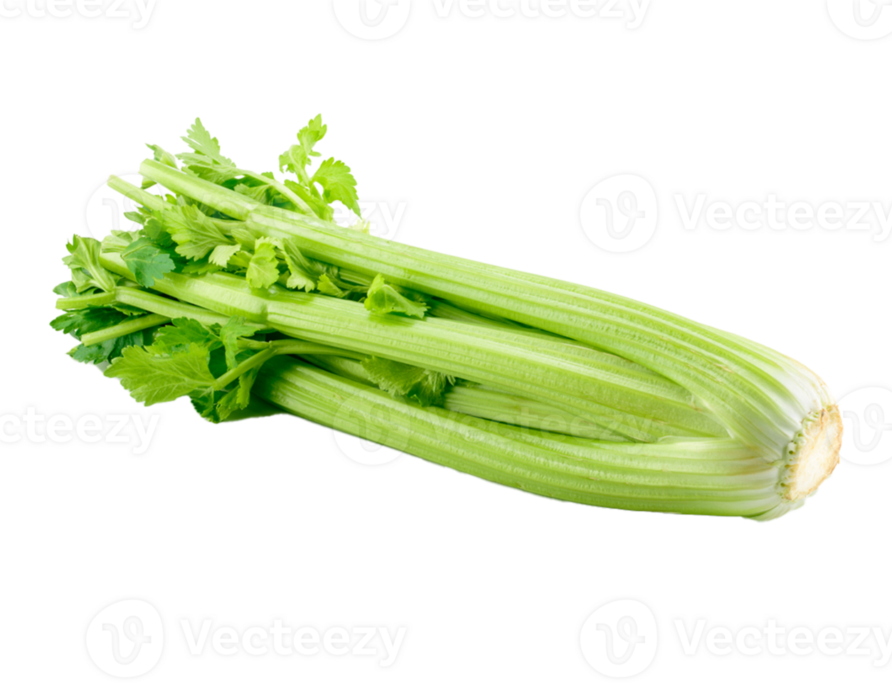 ingredient celery food detox diet png