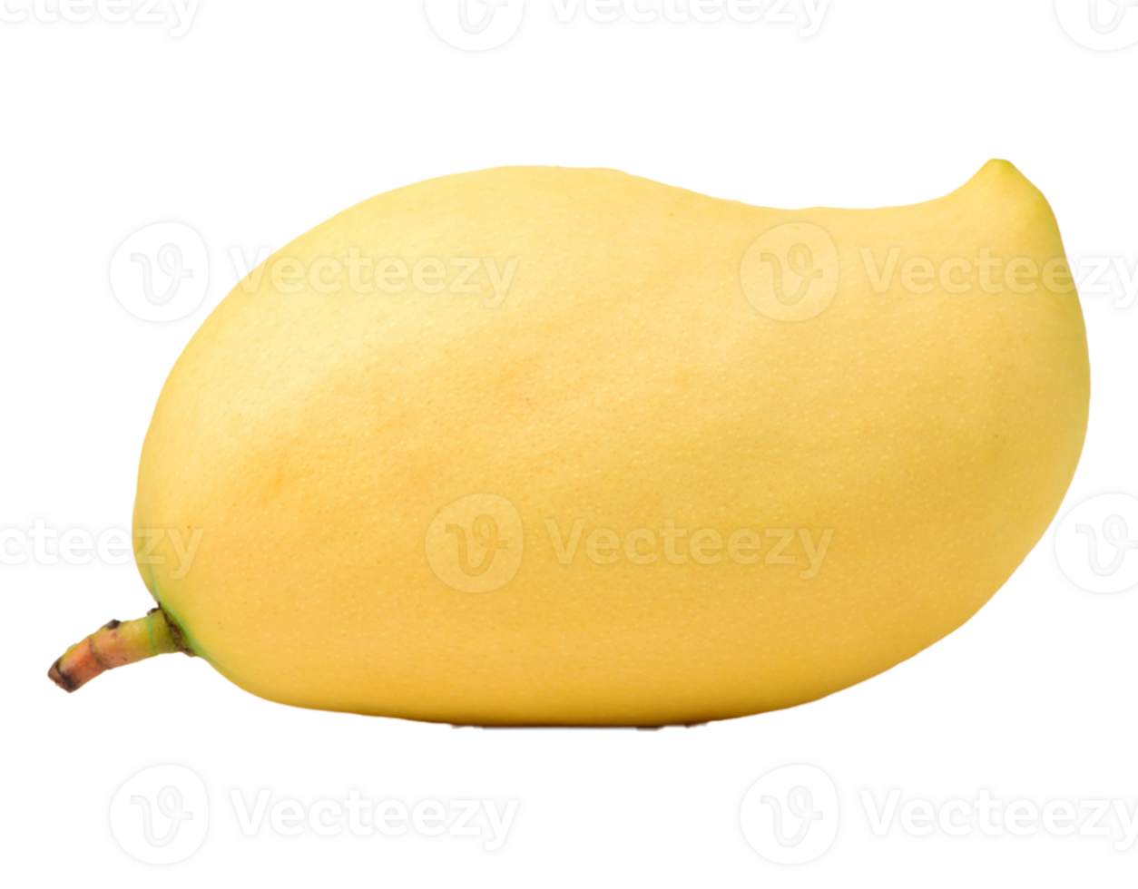 Fresh tropical mango png