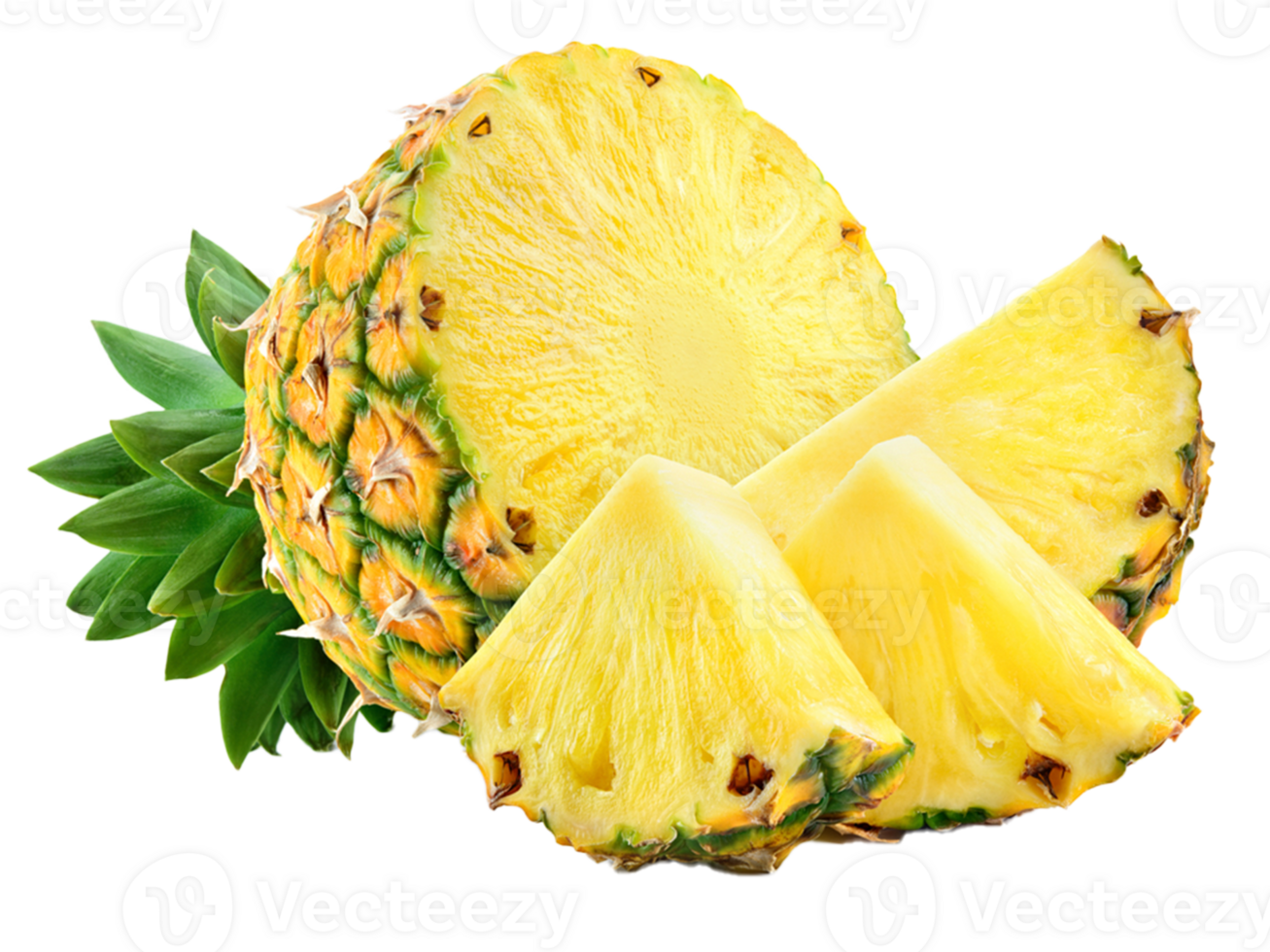 tropical pineapple art png